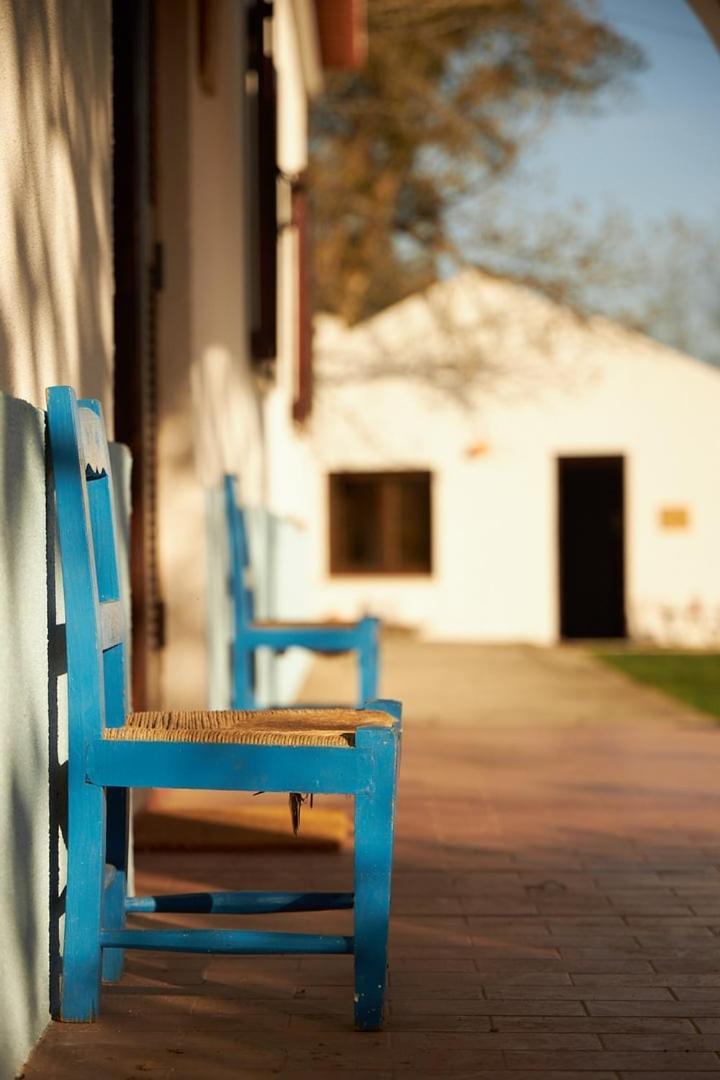 Quinta do Marmeleiro- Casa Marmeleiro Santiago do Cacém Exterior foto