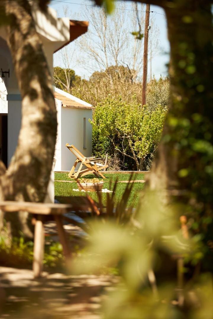 Quinta do Marmeleiro- Casa Marmeleiro Santiago do Cacém Exterior foto