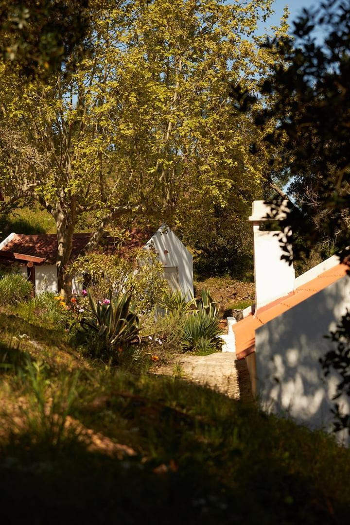 Quinta do Marmeleiro- Casa Marmeleiro Santiago do Cacém Exterior foto