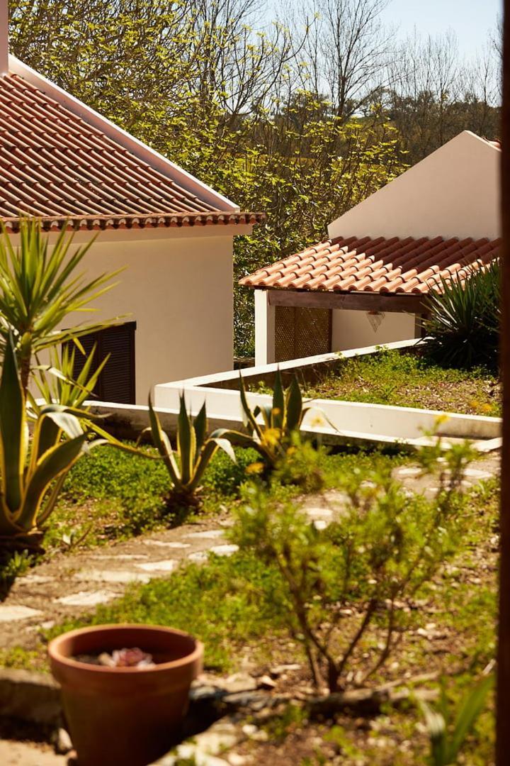 Quinta do Marmeleiro- Casa Marmeleiro Santiago do Cacém Exterior foto